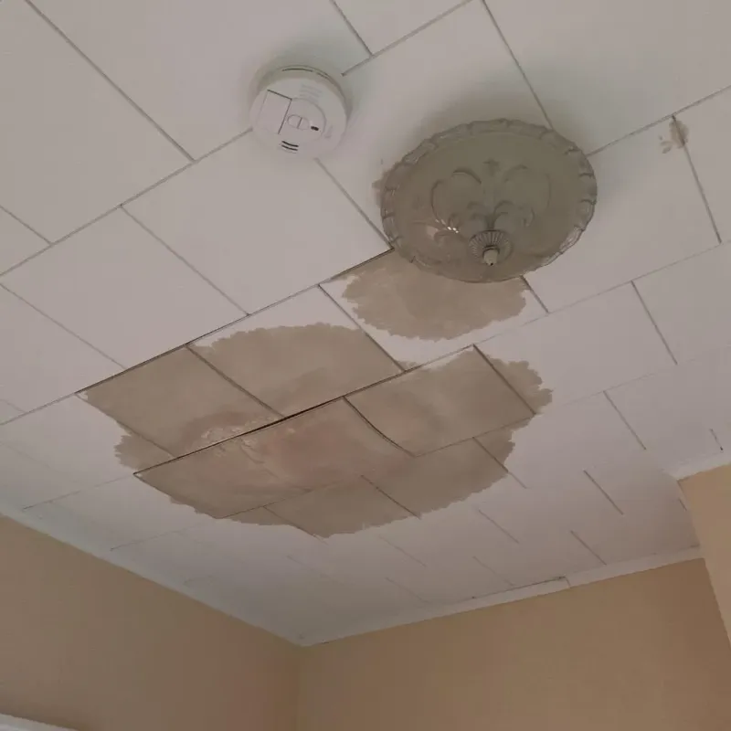 Ceiling Water Damage Repair in Statham, GA